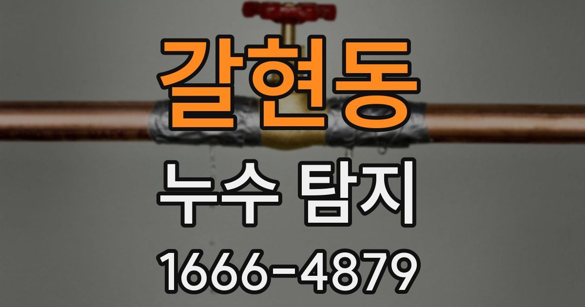 갈현동 누수 탐지