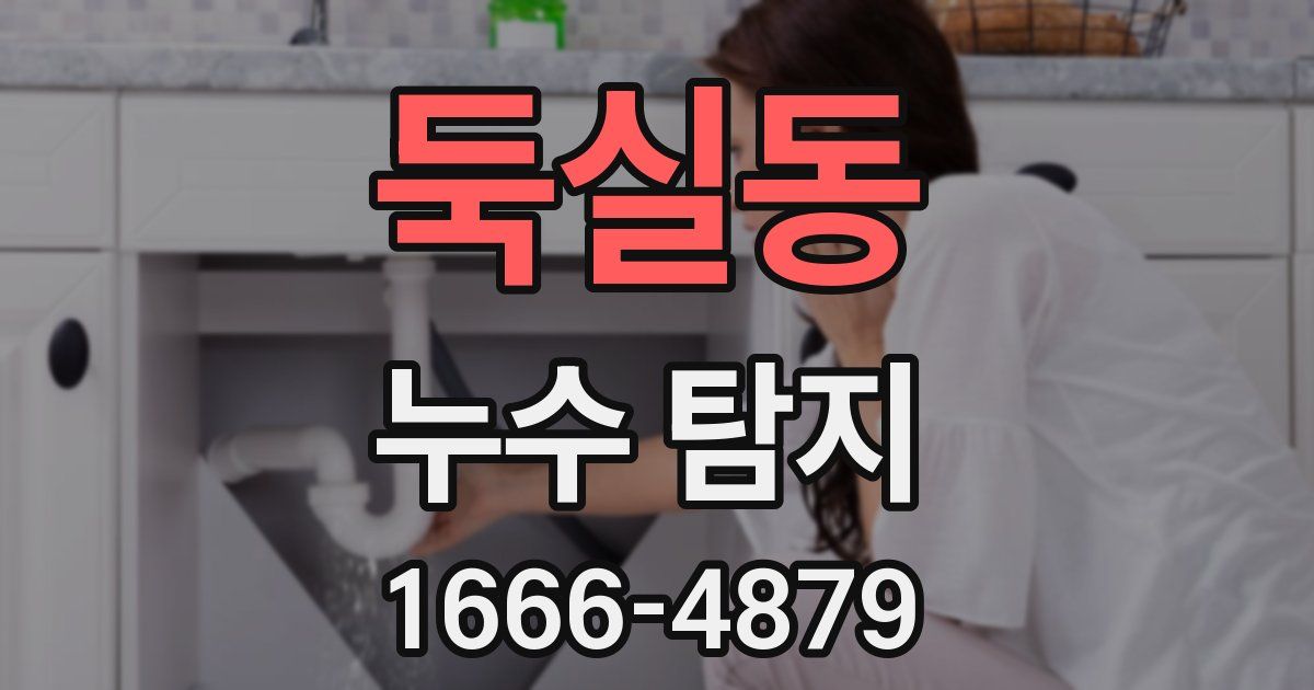 둑실동 누수 탐지