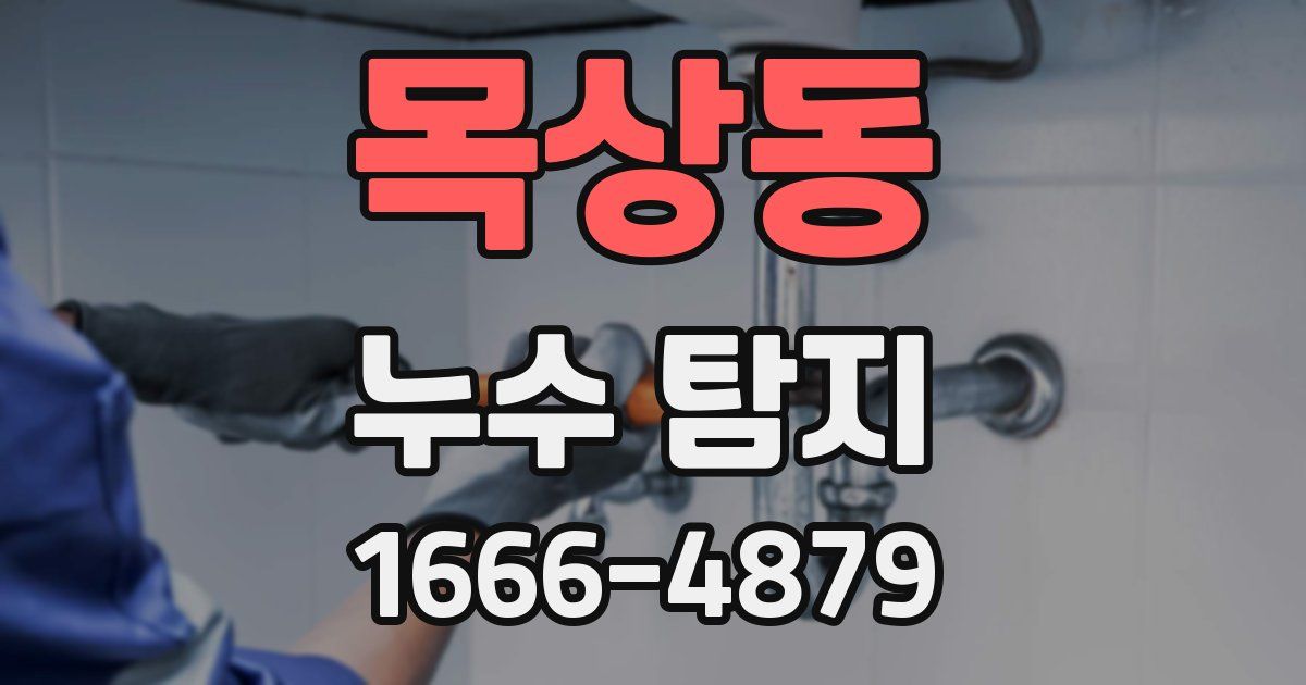 목상동 누수 탐지