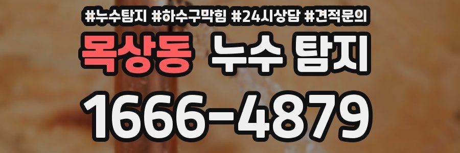 목상동 누수 탐지
