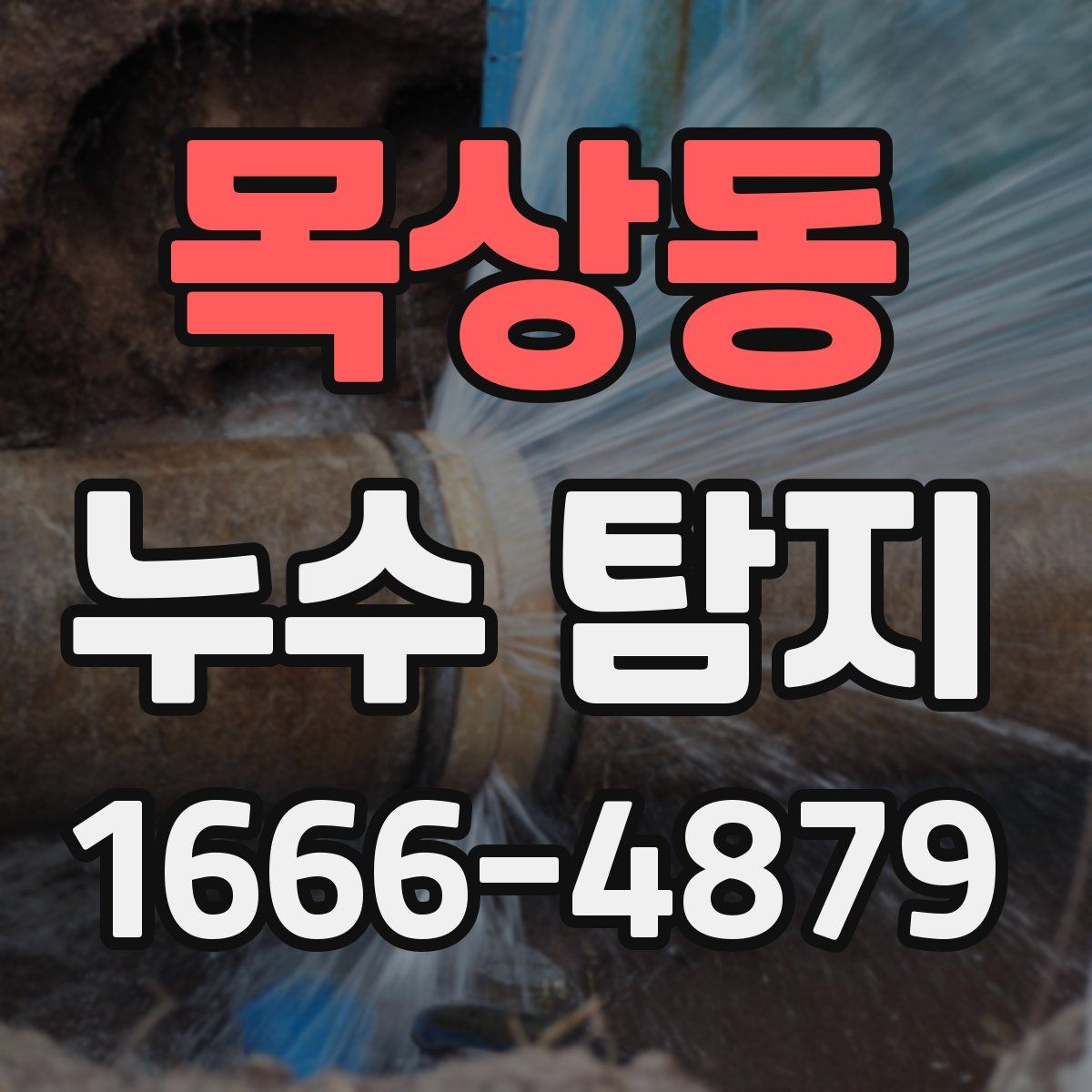목상동 누수 탐지