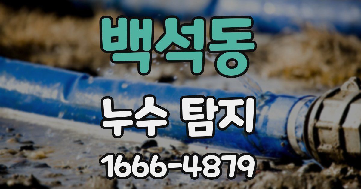 백석동 누수 탐지