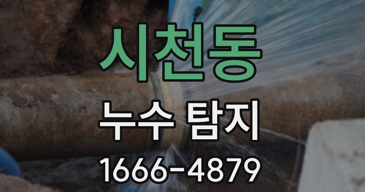시천동 누수 탐지