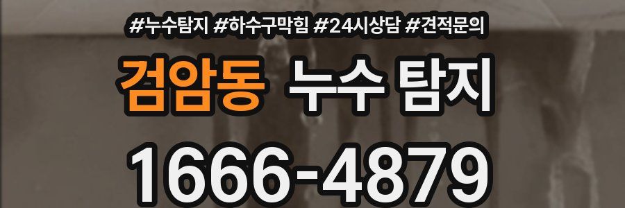 검암동 누수 탐지