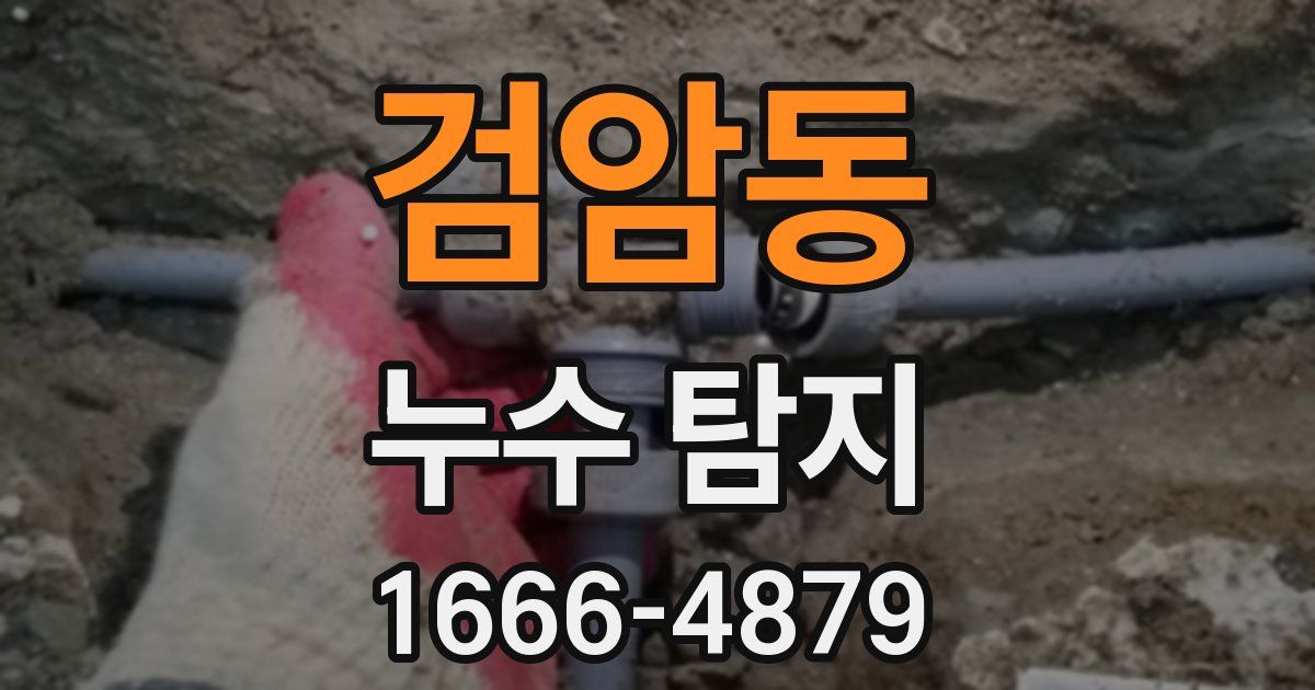 검암동 누수 탐지