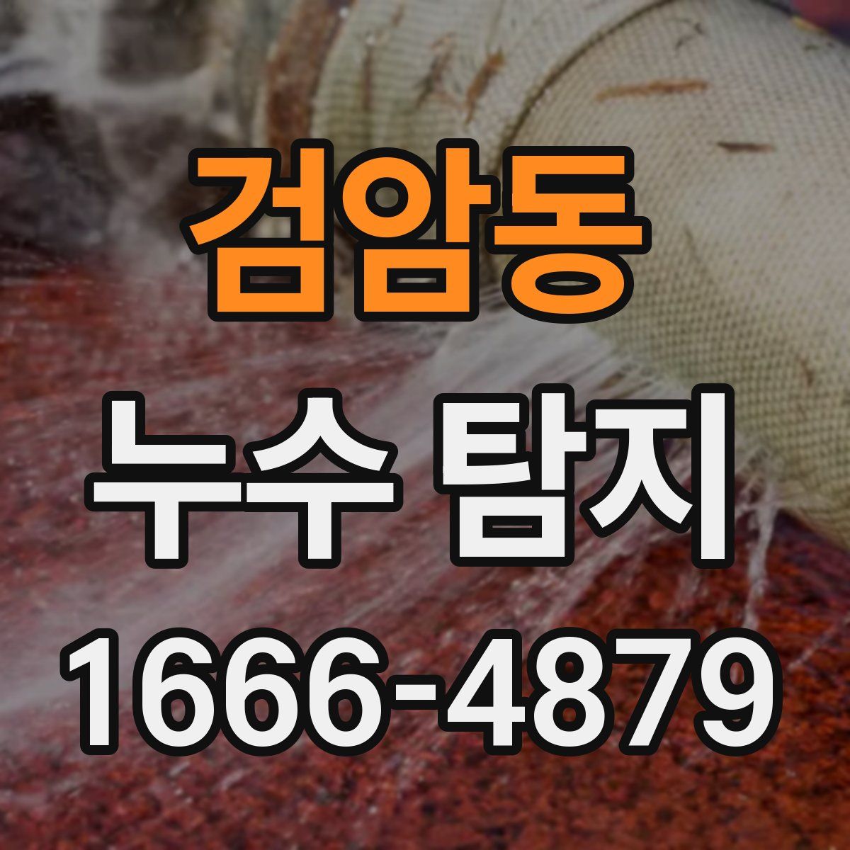 검암동 누수 탐지