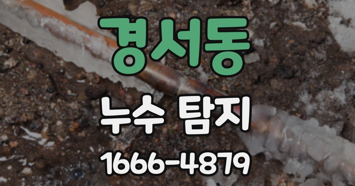 경서동 누수 탐지