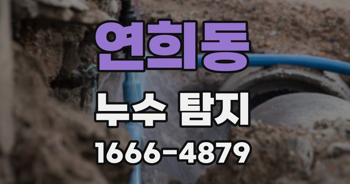 연희동 누수 탐지