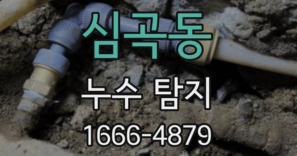 심곡동 누수 탐지