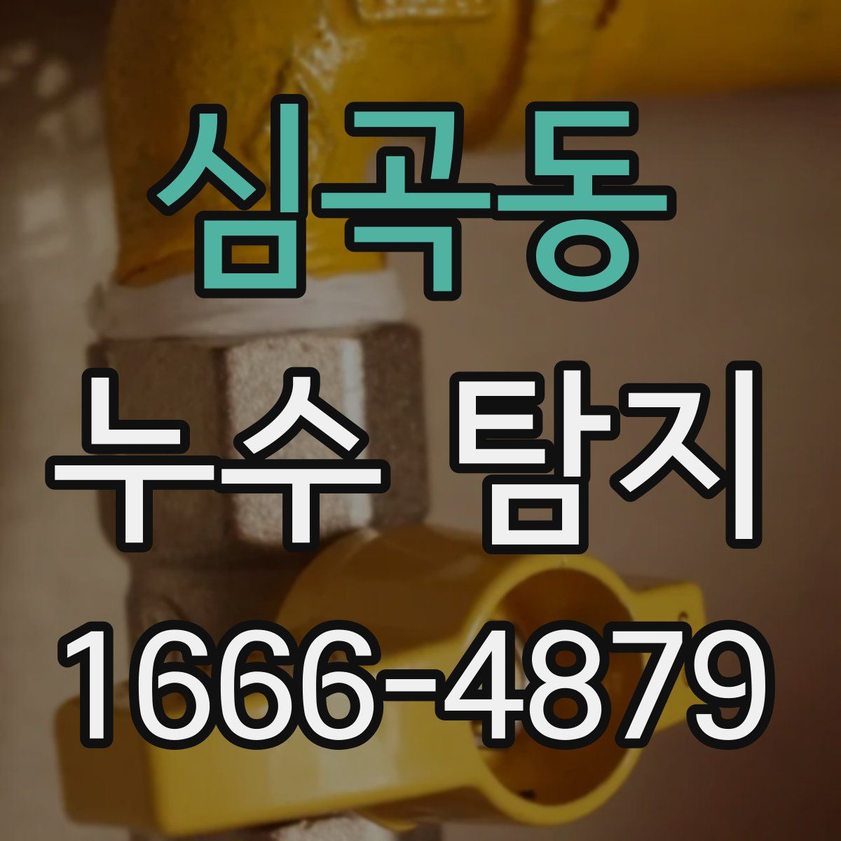 심곡동 누수 탐지