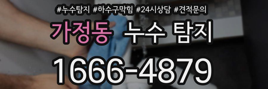 가정동 누수 탐지