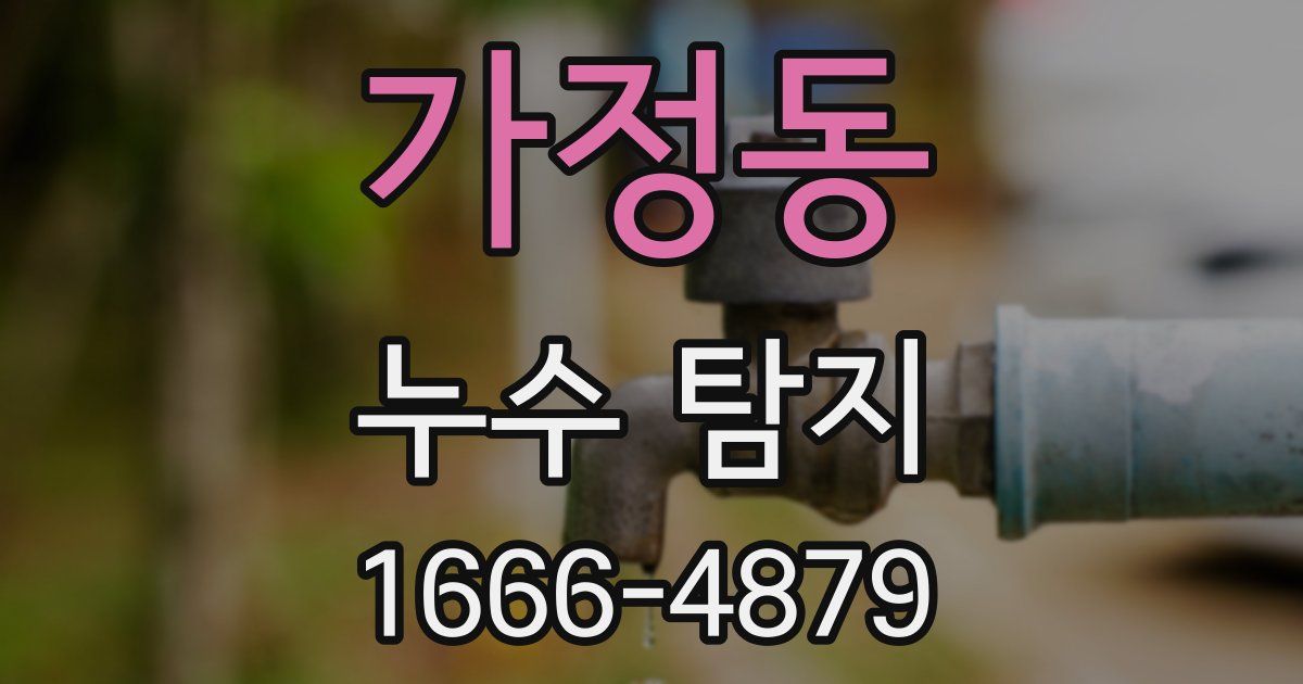 가정동 누수 탐지