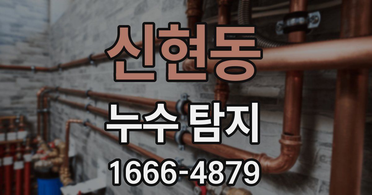 신현동 누수 탐지