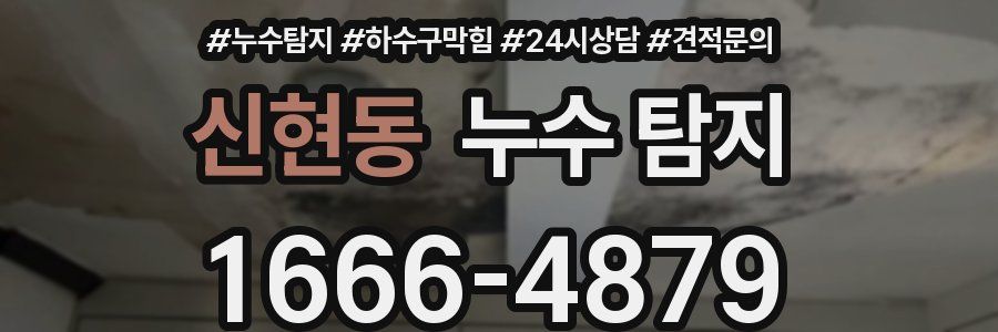 신현동 누수 탐지
