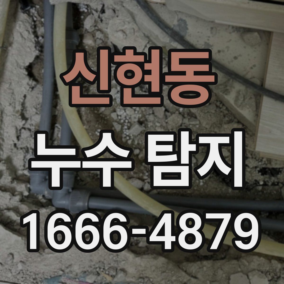 신현동 누수 탐지