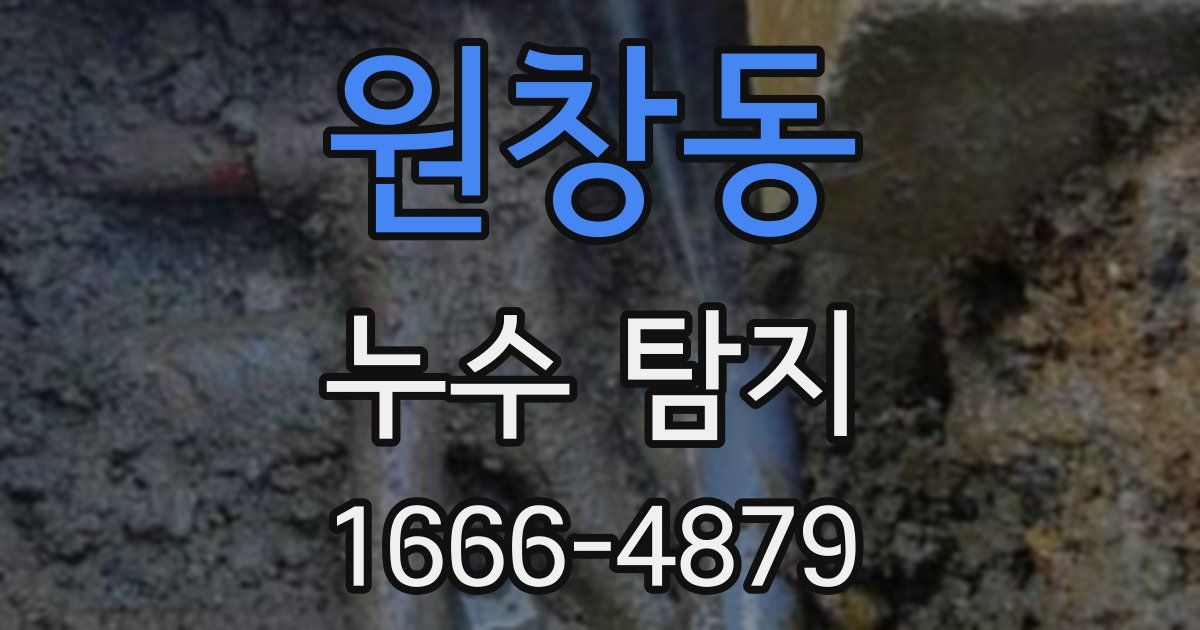 원창동 누수 탐지
