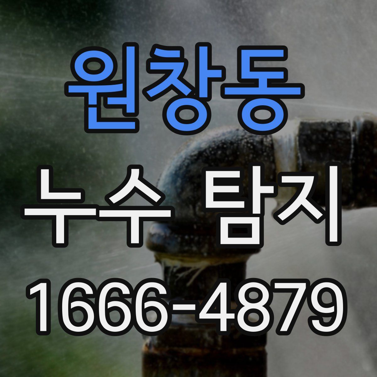 원창동 누수 탐지