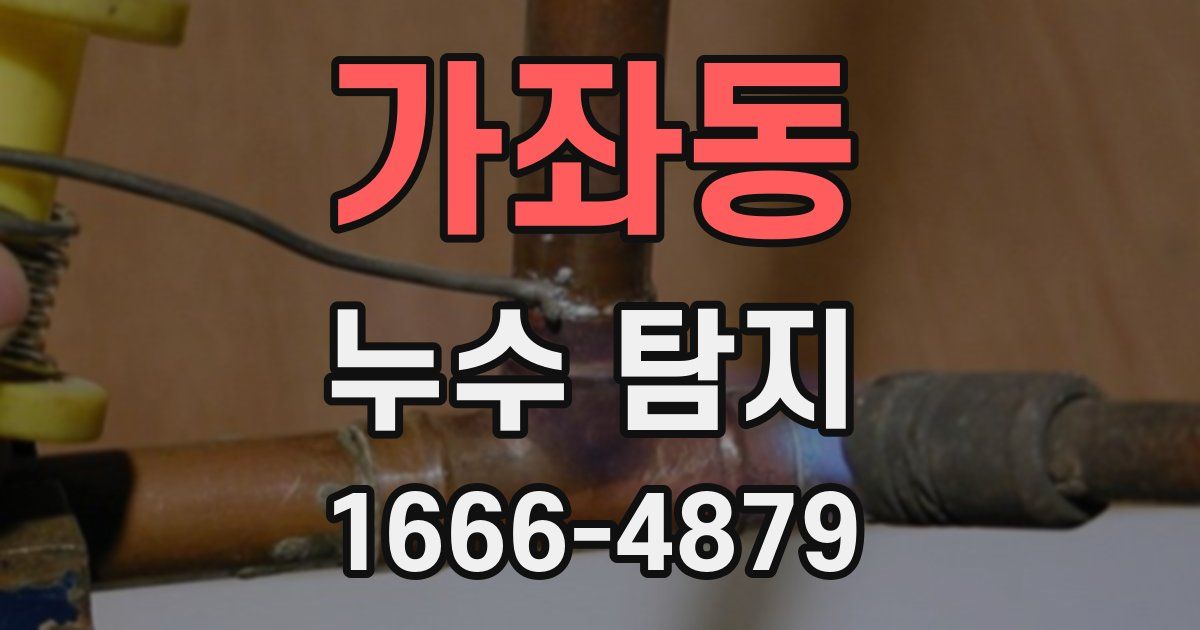 가좌동 누수 탐지