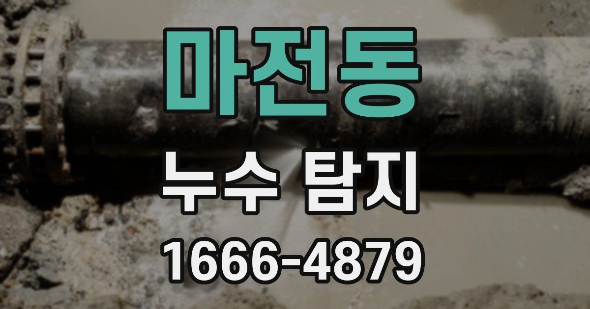 마전동 누수 탐지