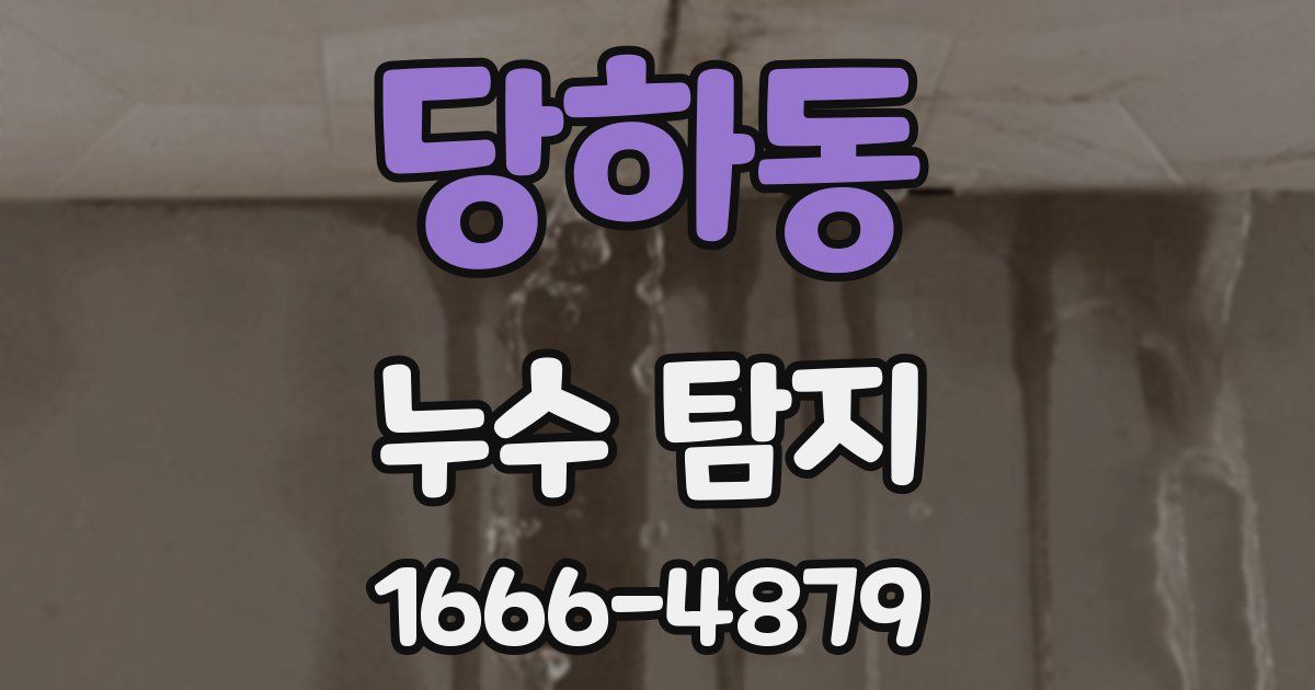 당하동 누수 탐지