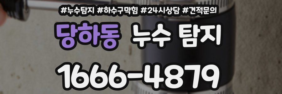 당하동 누수 탐지