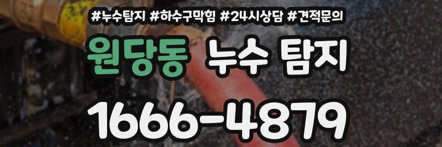 원당동 누수 탐지