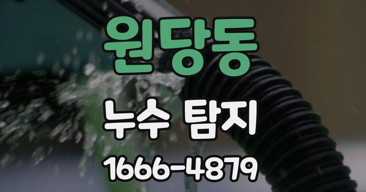 원당동 누수 탐지