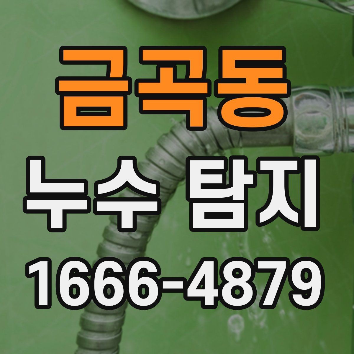 금곡동 누수 탐지 업체 방문 시 확인할 체크포인트