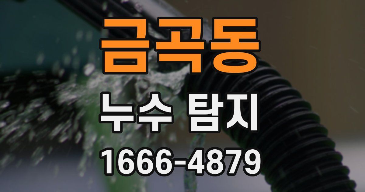 금곡동 누수 탐지