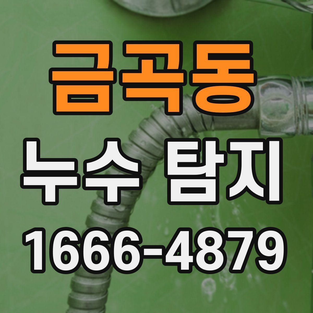 금곡동 누수 탐지