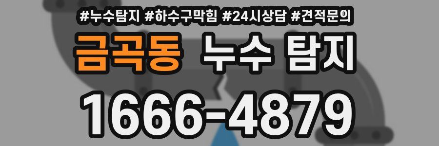 금곡동 누수 탐지