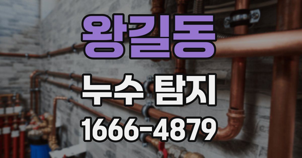 왕길동 누수 탐지