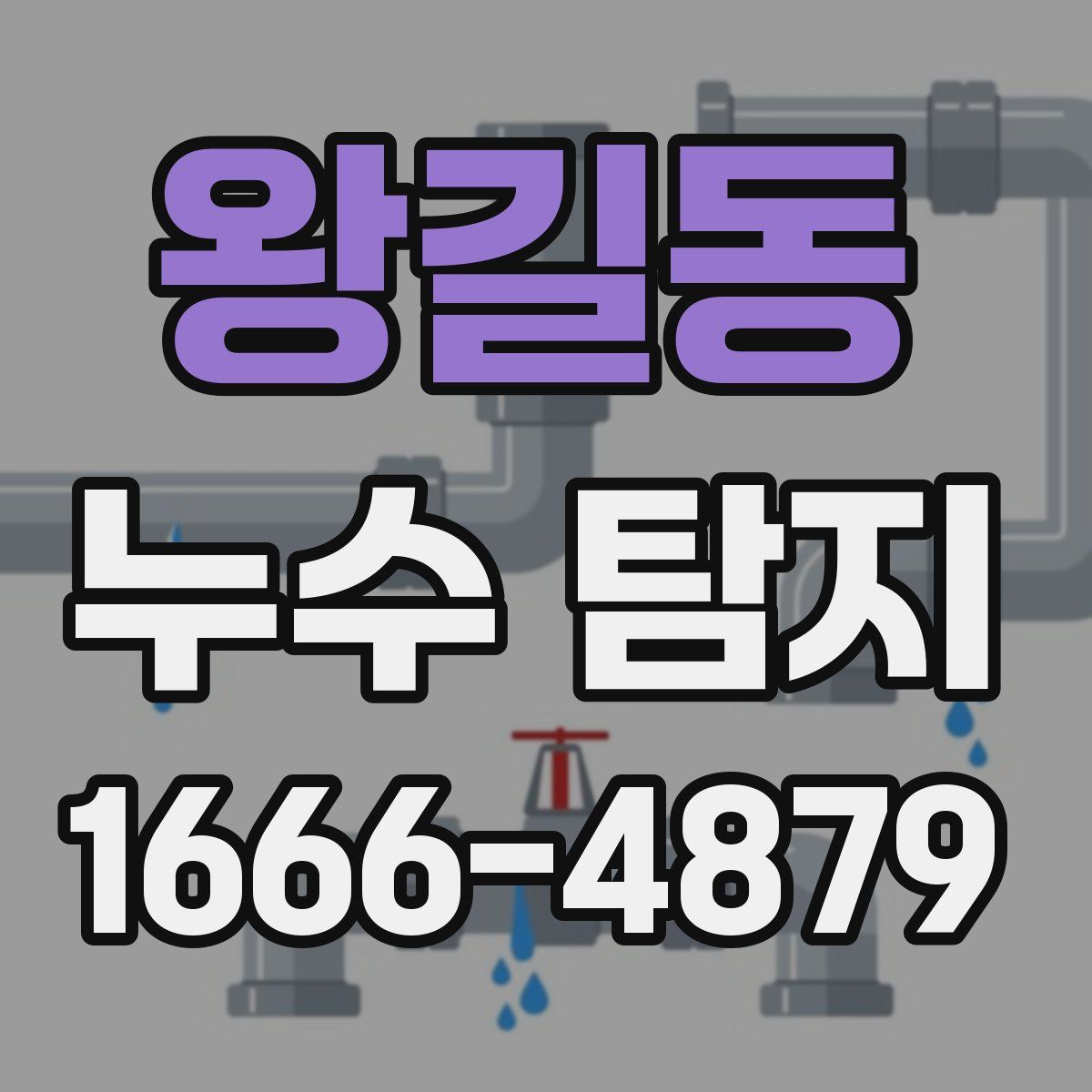 왕길동 누수 탐지
