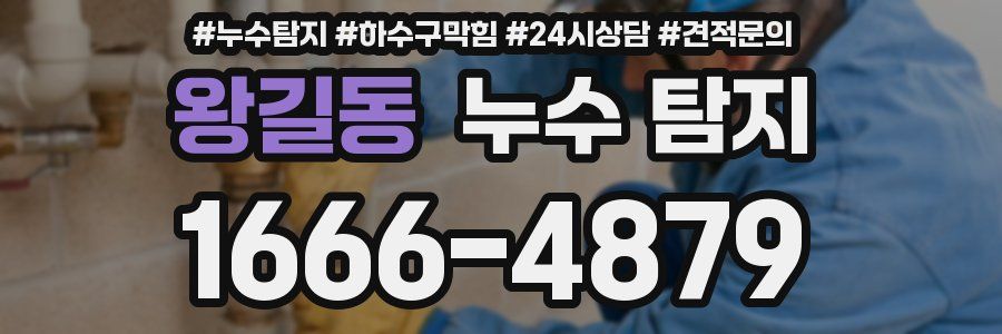 왕길동 누수 탐지