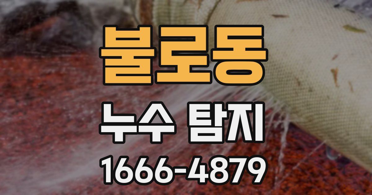 불로동 누수 탐지