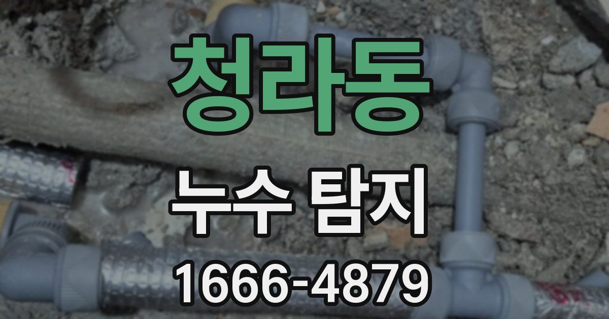 청라동 누수 탐지