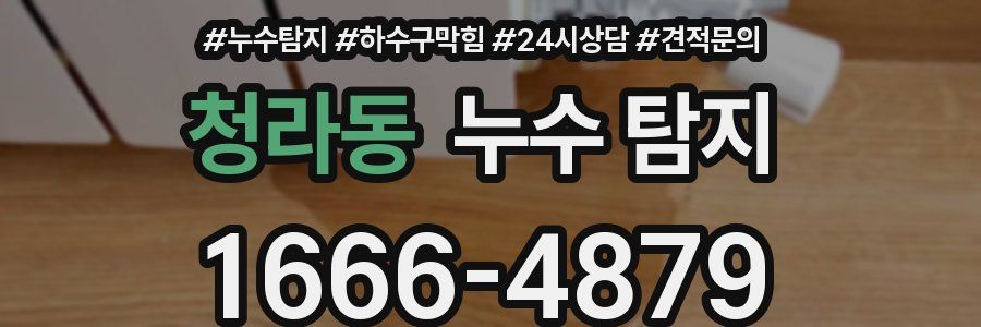청라동 누수 탐지