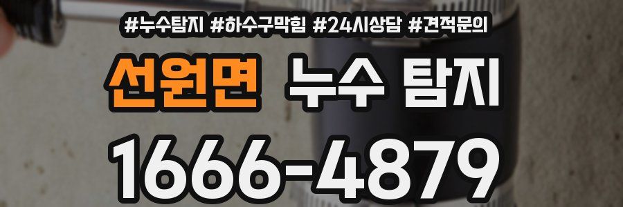 선원면 누수 탐지