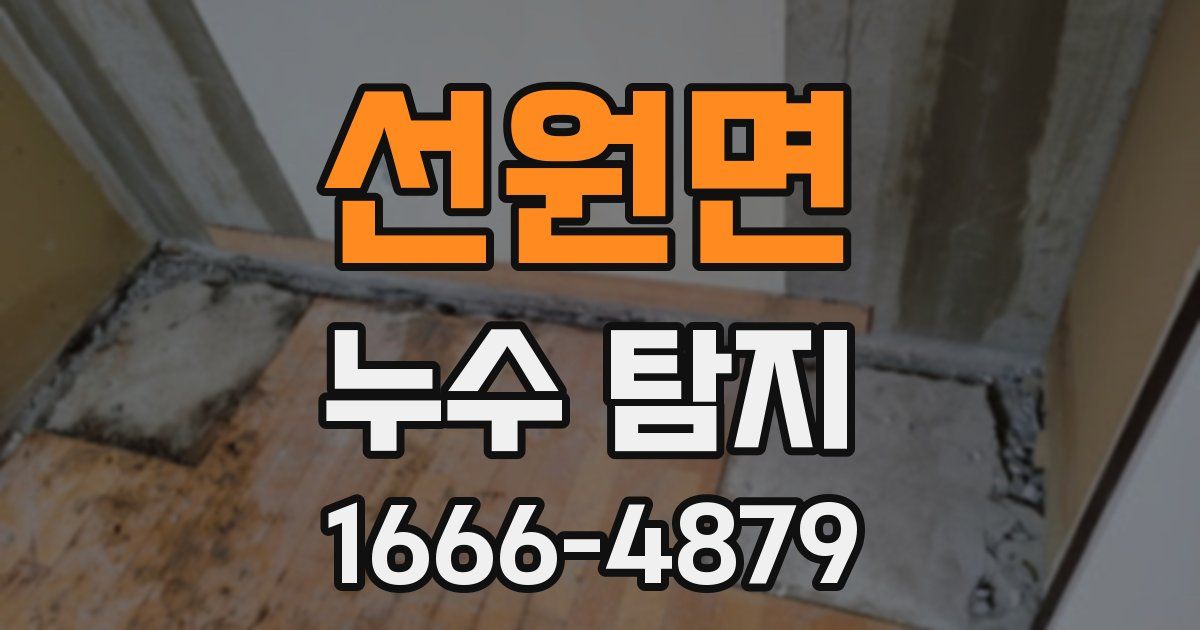선원면 누수 탐지