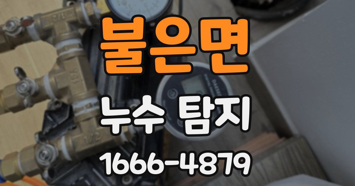 불은면 누수 탐지