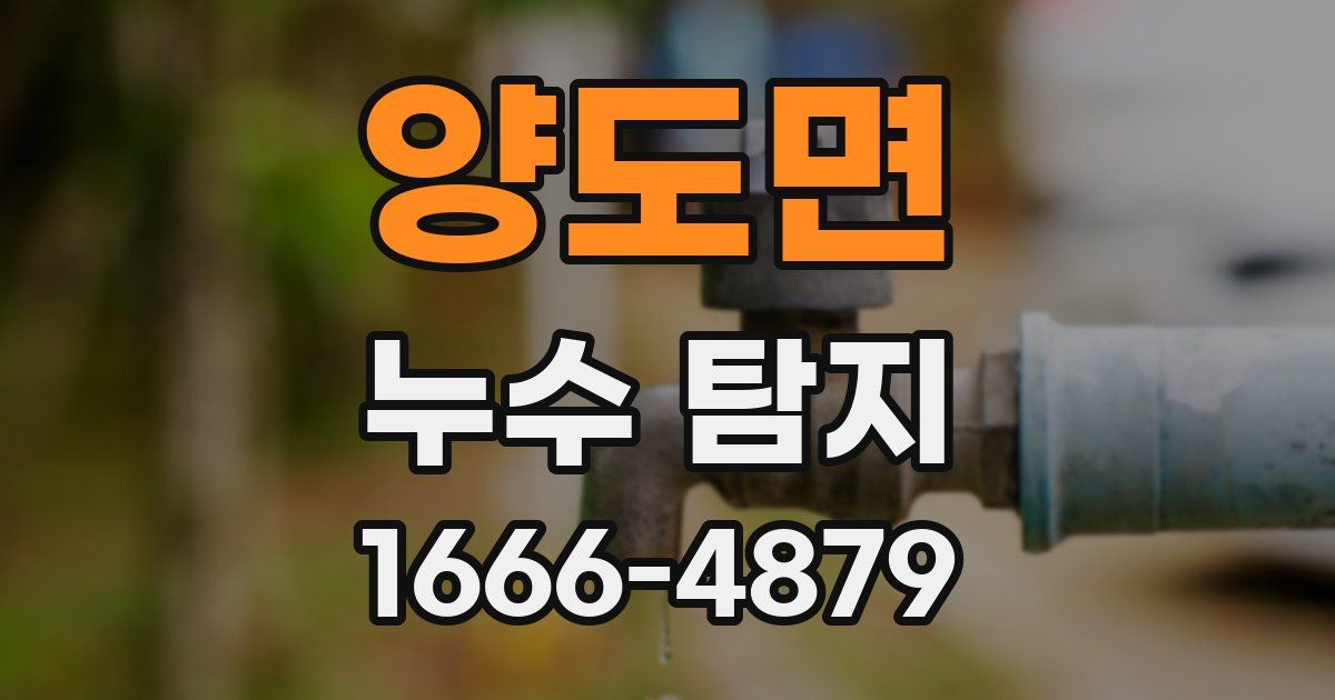 양도면 누수 탐지