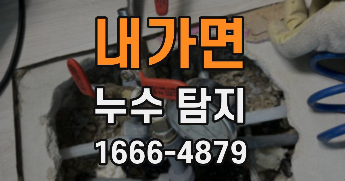 내가면 누수 탐지