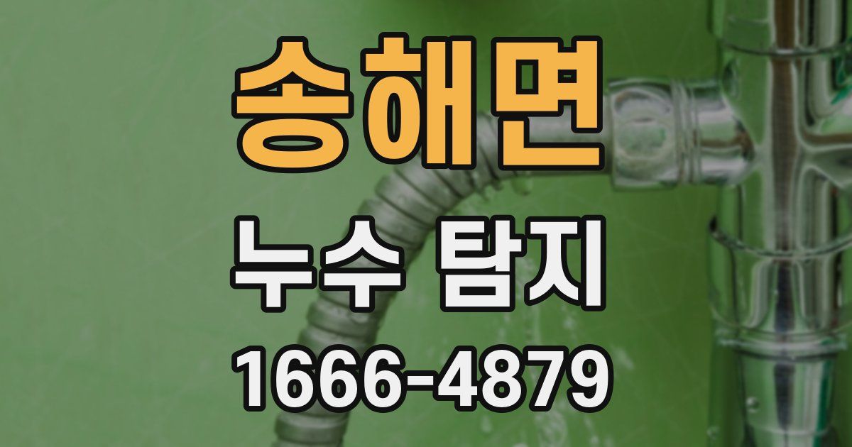 송해면 누수 탐지