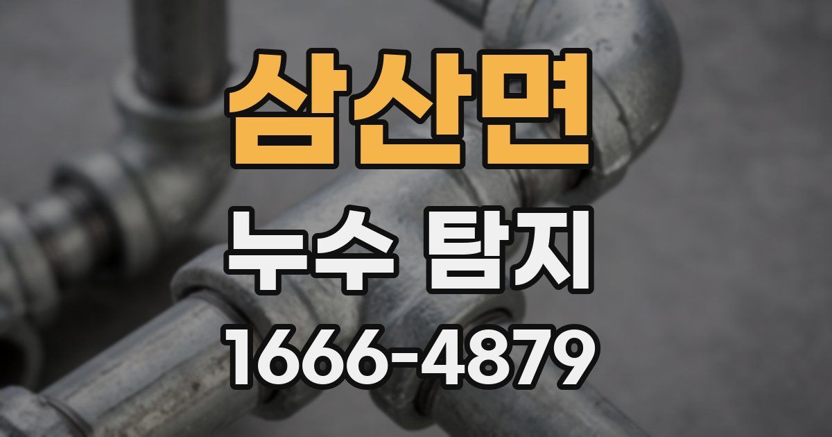 삼산면 누수 탐지