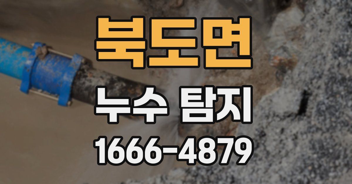 북도면 누수 탐지