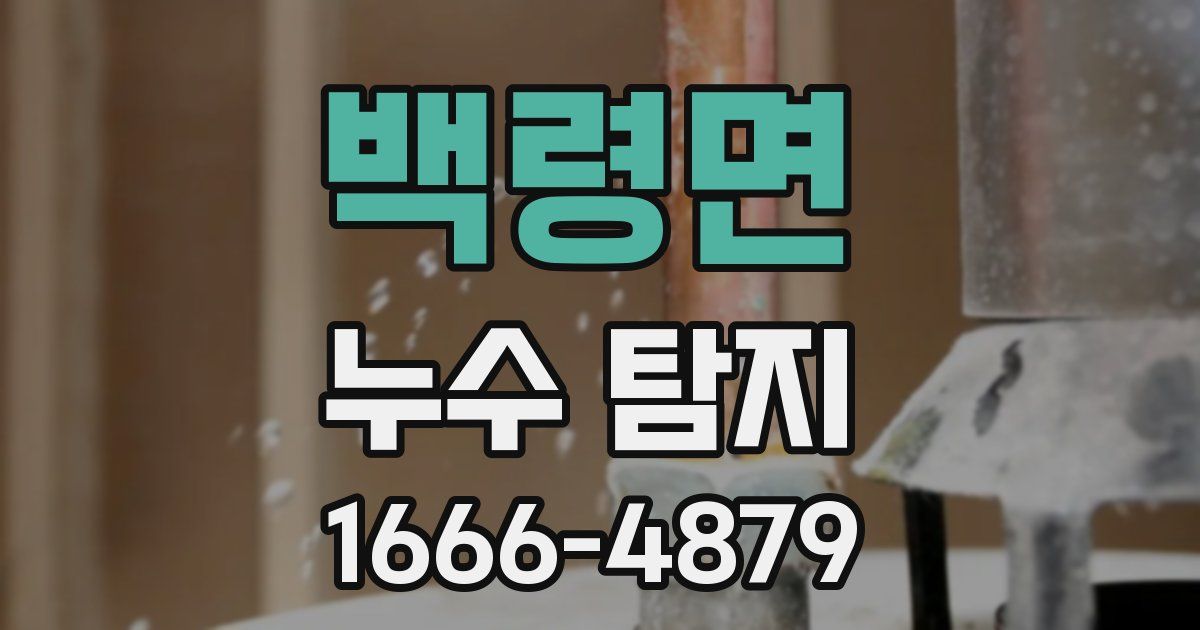 백령면 누수 탐지