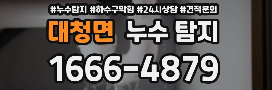 대청면 누수 탐지
