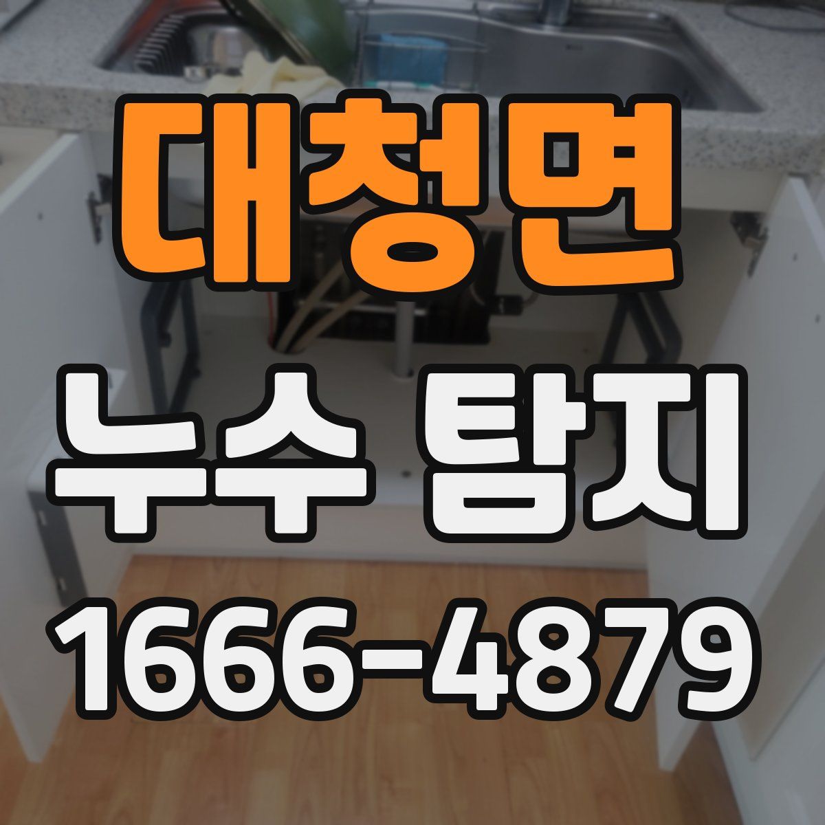 대청면 누수 탐지
