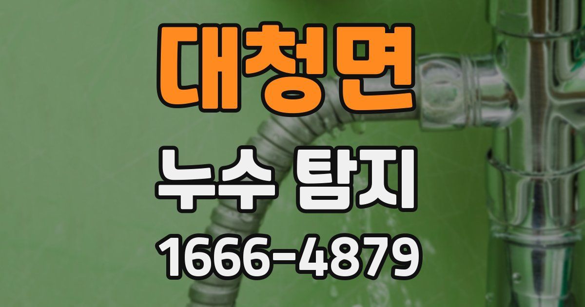 대청면 누수 탐지
