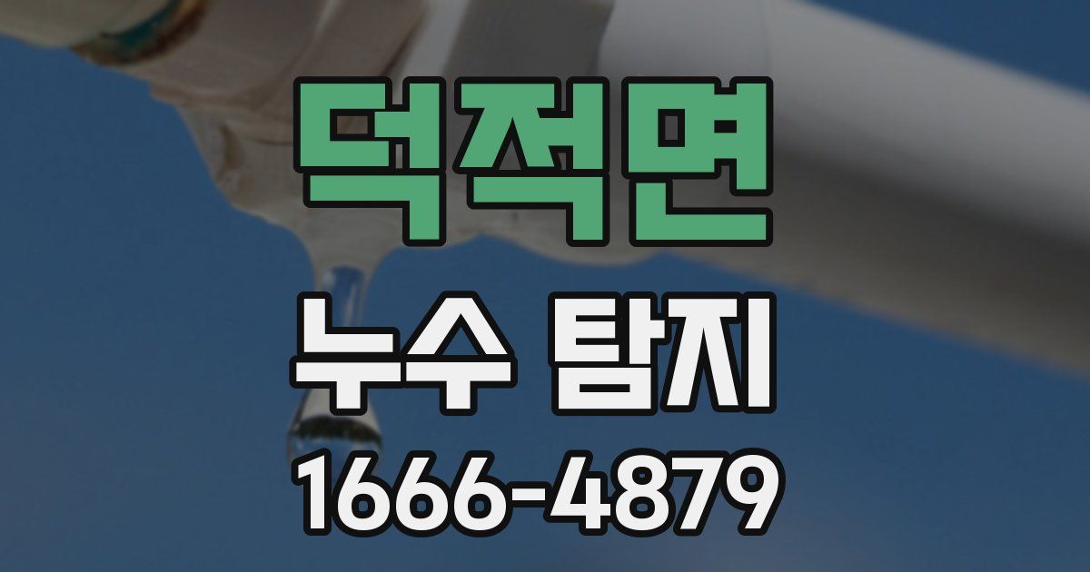 덕적면 누수 탐지